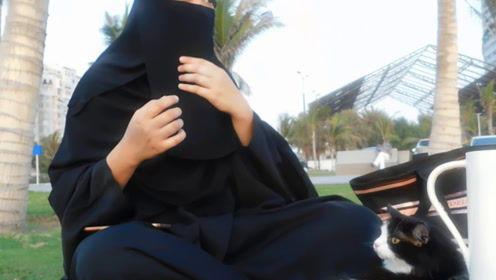 娱乐吃瓜君绯闻